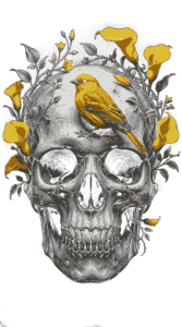 Preview image of a detailed human skull with yellow flowers and a perched yellow bird representing the transparent PNG collection
