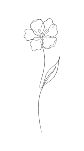 Cover artwork featuring continuous single line art botanical drawings in free transparent PNG format for light and dark product printing