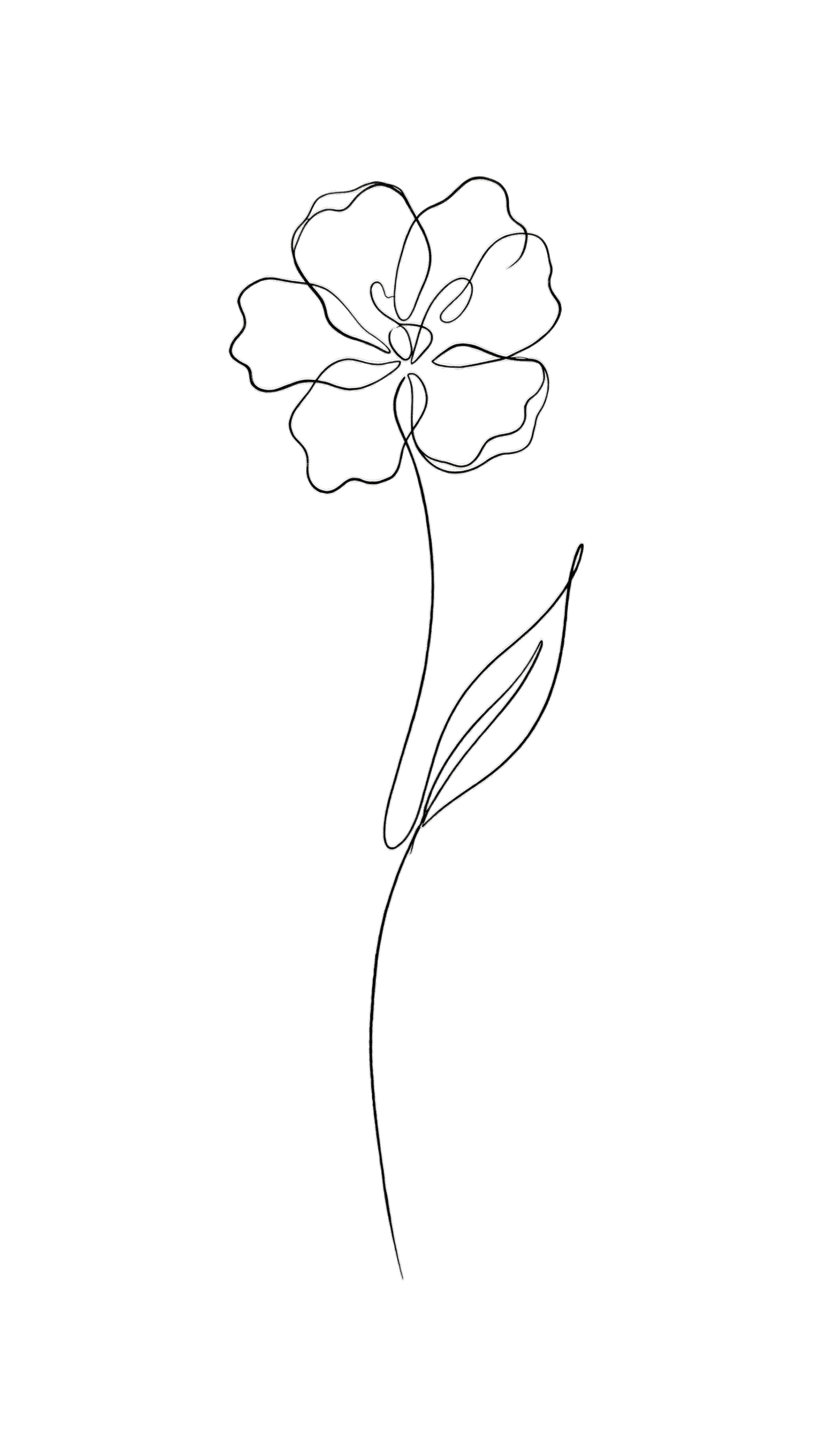 Cover artwork featuring continuous single line art botanical drawings in free transparent PNG format for light and dark product printing
